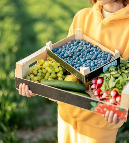 Person carrying boxes with fresh juicy berries, fruits and vegetables on farmland. Cropped view. Concept of healthy food and local farming